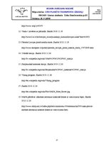 Referāts 'Transporta līdzekļi kosmosā', 17.