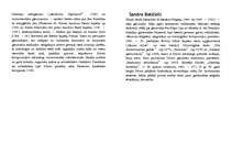 Konspekts 'Renesanses ievērojamākie cilvēki', 4.