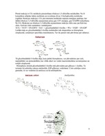 Referāts 'Fotosintēze', 6.