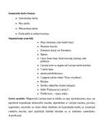 Konspekts 'Integrētas stundas konspekts', 2.