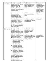 Konspekts 'Integrētas stundas konspekts', 4.