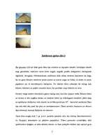 Referāts '7 pasaules brīnumi', 2.