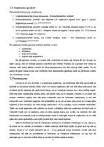 Biznesa plāns 'Personālsabiedrība „Robeža”', 3.