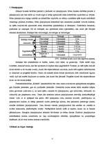 Biznesa plāns 'Personālsabiedrība „Robeža”', 4.