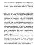 Referāts 'Rietumeiropas estētikas vēsture', 4.