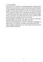 Referāts 'Diētas', 7.