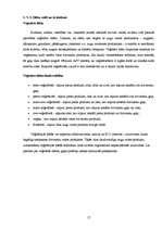 Referāts 'Diētas', 17.