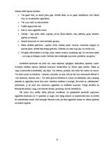 Referāts 'Diētas', 19.