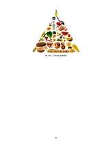 Referāts 'Diētas', 36.