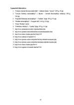 Referāts 'Diētas', 40.