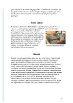 Referāts 'Ābramiskās reliģijas', 7.