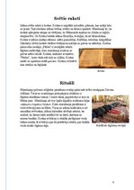 Referāts 'Ābramiskās reliģijas', 21.