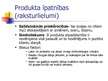 Prezentācija 'Produkta raksturojums Apple iPod mp3 atskaņotājs', 3.