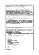 Biznesa plāns 'Kinostudija', 10.