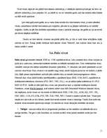 Referāts 'Datorvīrusi', 11.