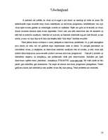 Referāts 'Datorvīrusi', 26.