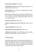 Referāts 'Latvijas laimīgākā pilsēta: meklējumi un atradumi', 21.