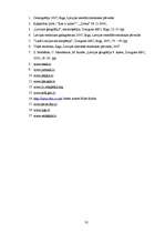 Referāts 'Latvijas laimīgākā pilsēta: meklējumi un atradumi', 35.