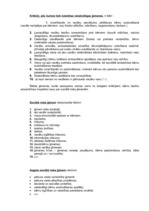 Referāts 'Nelabvēlīgās ģimenes un to bērni mūsdienu sabiedrībā. Sociālā pedagoga darbs ar ', 6.