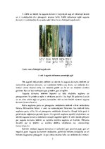 Konspekts 'Augusta dzinumi, to ietekme uz priežu un egļu augšanu un stumbra kvalitāti', 7.