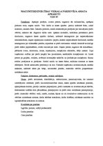 Paraugs 'Mazumtirdzniecības veikala pārdevēja amata apraksts', 1.