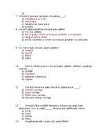 Paraugs 'Antīkās Olimpiskā spēles', 2.