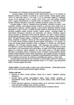 Prakses atskaite 'Sociālā gadījuma risināšana', 3.