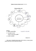 Prakses atskaite 'Sociālā gadījuma risināšana', 9.