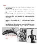 Konspekts 'Mezolīta, neolīta, bronzas laikmeta māksla', 2.