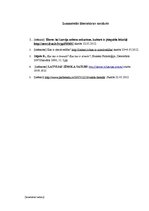 Referāts 'Latvijas Valsts zīmolēšana', 11.