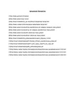 Konspekts 'Pašizlīdzinošie un izlīdzinošie maisījumi grīdām', 24.