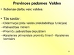 Prezentācija 'Nīderlande un tās pašvaldību sistēma', 18.