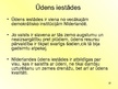 Prezentācija 'Nīderlande un tās pašvaldību sistēma', 22.