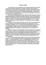 Eseja 'Tūrisms Latvijā', 1.