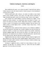 Eseja 'Kultūras mantojums, mūsdienu izaicinājums. Grafiti', 1.