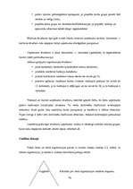 Konspekts 'Uzņēmējdarbības pamati', 74.