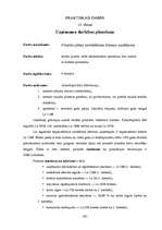 Konspekts 'Uzņēmējdarbības pamati', 191.