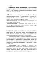 Paraugs 'Nervu sistēmas izmeklēšana', 3.