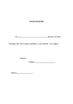 Paraugs 'Nervu sistēmas izmeklēšana', 4.