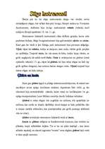 Konspekts 'Mūzikas instrumenti viduslaikos un renesansē', 2.