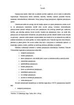 Referāts 'Pakalpojumu uzņēmējdarbība kā process un kā sistēma', 2.