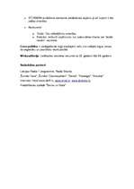 Biznesa plāns 'Mārketinga plāns smaržām “Chanel No. 5”', 3.