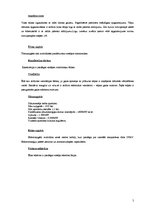 Referāts 'Zolitūdes ielas būvdarbu veikšanas projekts', 5.