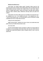 Referāts 'Zolitūdes ielas būvdarbu veikšanas projekts', 15.