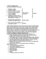 Konspekts 'Uzņēmējdarbība', 6.