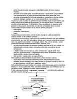 Konspekts 'Uzņēmējdarbība', 36.