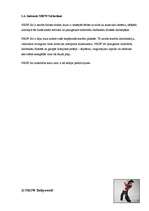 Referāts 'Fitnesa pasaules jaunievedums: Nike Rockstar Workout', 5.