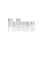 Referāts 'Fitnesa pasaules jaunievedums: Nike Rockstar Workout', 10.