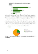 Referāts 'Reklāmas ietekme uz jauniešiem', 17.