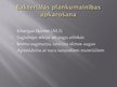 Prezentācija 'Lauka gurķu audzēšana', 34.